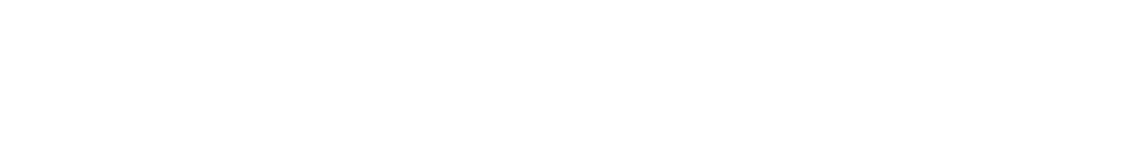 Fntroo Wordmark